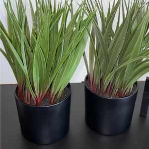 2 artificial plants 🪴